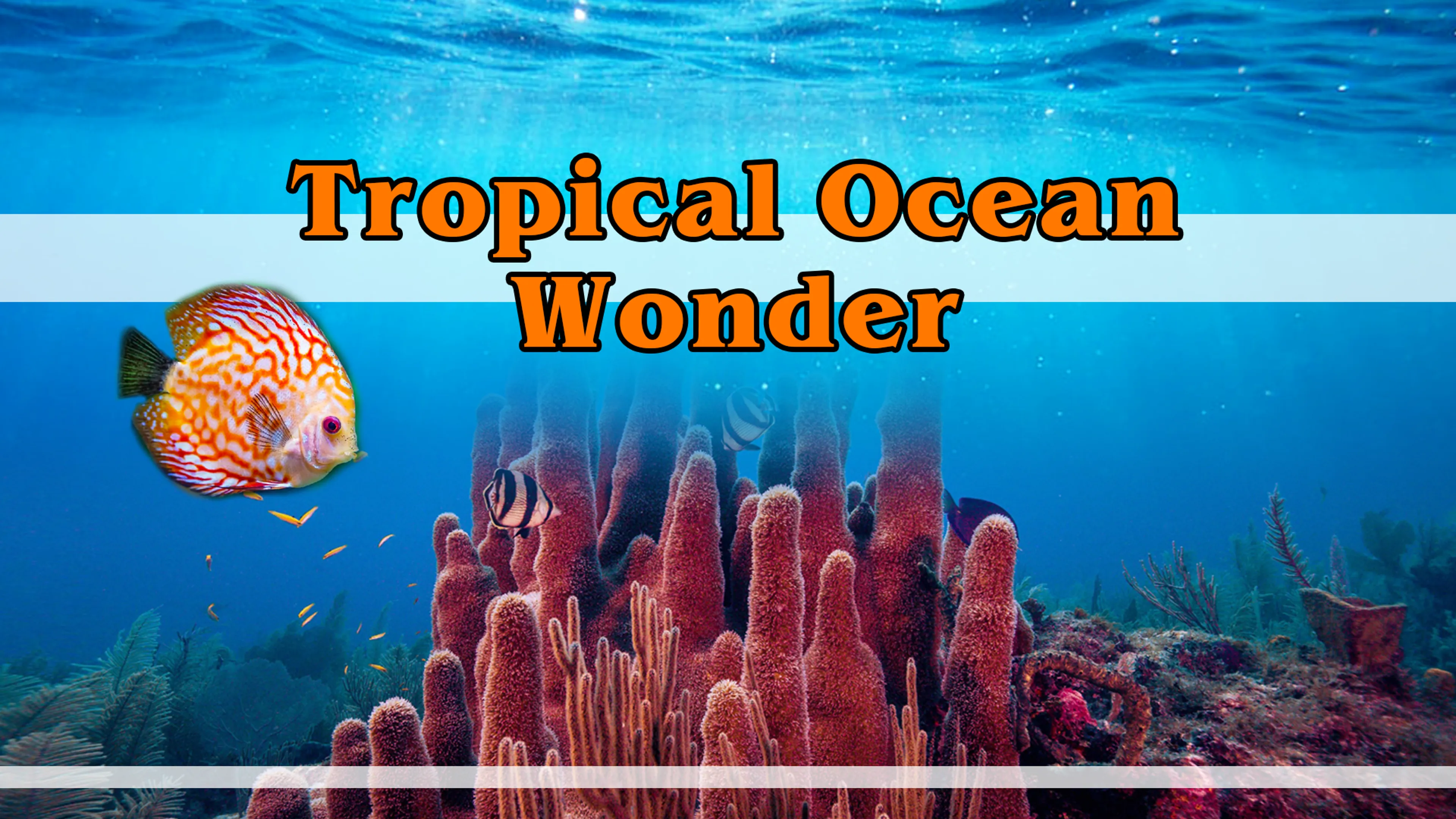 Tropical Ocean Wonder poster